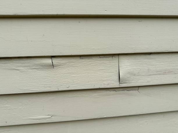 Best Foreclosure Cleanout  in East Alton, IL
